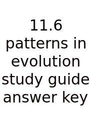 11.6 Patterns In Evolution Study Guide Answer Key
