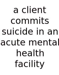 A Client Commits Suicide In An Acute Mental Health Facility