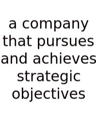A Company That Pursues And Achieves Strategic Objectives
