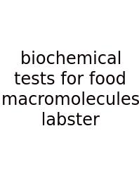 Biochemical Tests For Food Macromolecules Labster