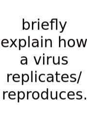 Briefly Explain How A Virus Replicates/reproduces.