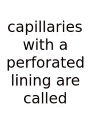 Capillaries With A Perforated Lining Are Called