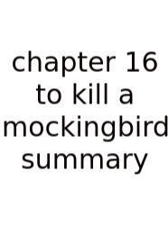 Chapter 16 To Kill A Mockingbird Summary