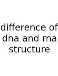 Difference Of Dna And Rna Structure