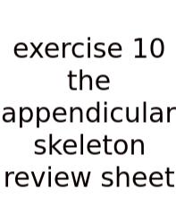 Exercise 10 The Appendicular Skeleton Review Sheet