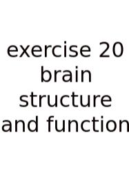 Exercise 20 Brain Structure And Function