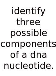 Identify Three Possible Components Of A Dna Nucleotide.