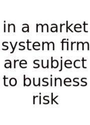 In A Market System Firm Are Subject To Business Risk