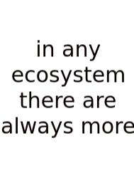 In Any Ecosystem There Are Always More
