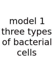 Model 1 Three Types Of Bacterial Cells