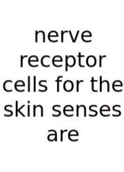 Nerve Receptor Cells For The Skin Senses Are