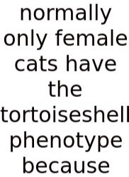 Normally Only Female Cats Have The Tortoiseshell Phenotype Because