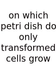 On Which Petri Dish Do Only Transformed Cells Grow