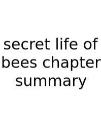 Secret Life Of Bees Chapter Summary