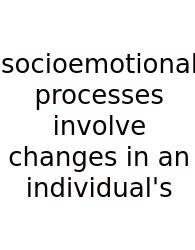 Socioemotional Processes Involve Changes In An Individual's