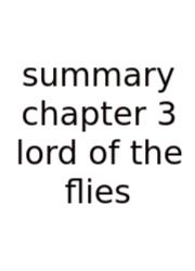 Summary Chapter 3 Lord Of The Flies