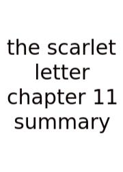 The Scarlet Letter Chapter 11 Summary