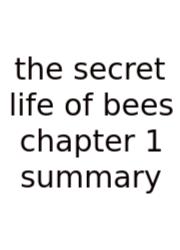 The Secret Life Of Bees Chapter 1 Summary