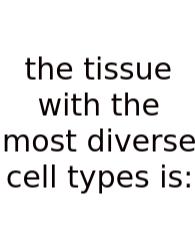 The Tissue With The Most Diverse Cell Types Is: