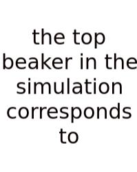 The Top Beaker In The Simulation Corresponds To