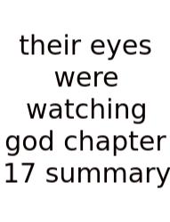 Their Eyes Were Watching God Chapter 17 Summary
