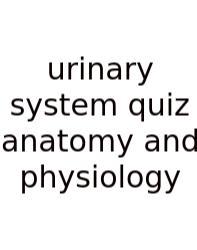 Urinary System Quiz Anatomy And Physiology