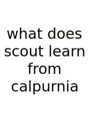 What Does Scout Learn From Calpurnia