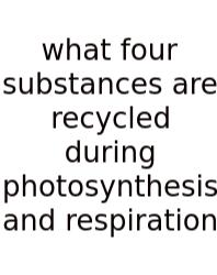 What Four Substances Are Recycled During Photosynthesis And Respiration