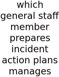 Which General Staff Member Prepares Incident Action Plans Manages