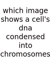 Which Image Shows A Cell's Dna Condensed Into Chromosomes