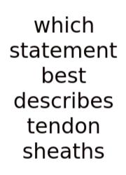 Which Statement Best Describes Tendon Sheaths